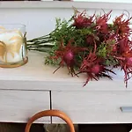 Roses Beach Apartment *